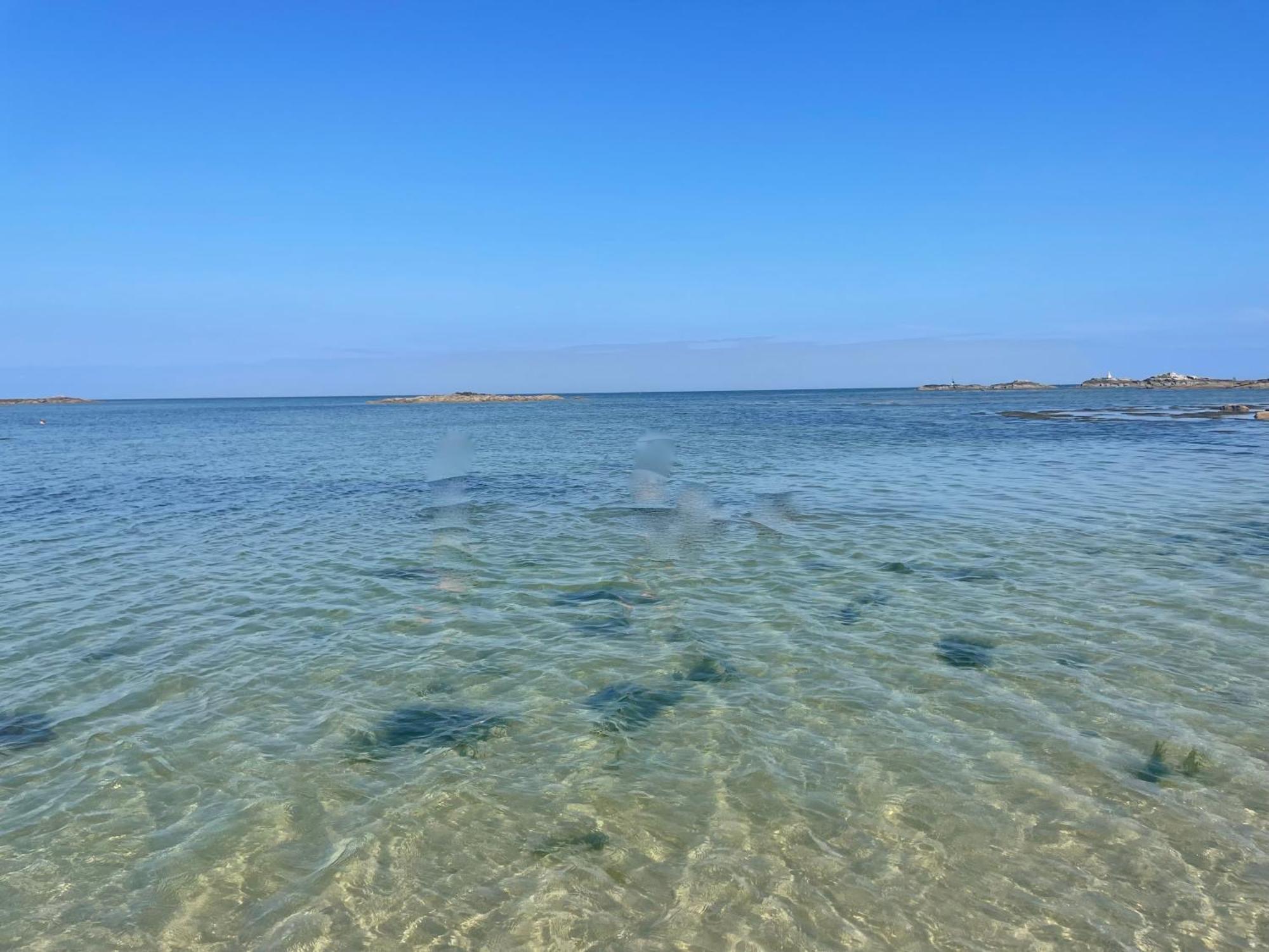 Domaine De L'O Otel Gatteville-le-Phare Dış mekan fotoğraf